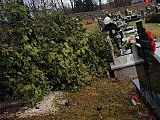 Połamane konary i drzewa, kilkanaście interwencji strażaków. Silny wiatr powróci w sobotę