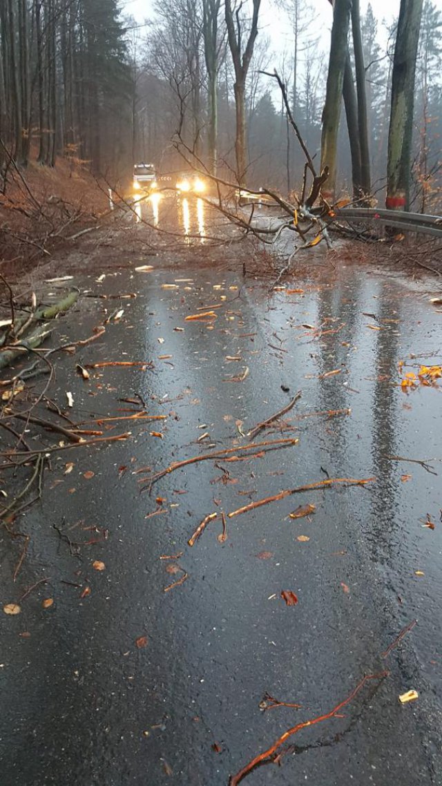 Połamane konary i drzewa, kilkanaście interwencji strażaków. Silny wiatr powróci w sobotę