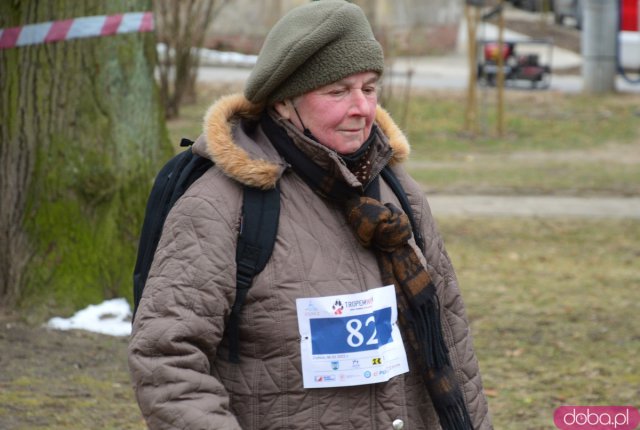 Bieg Tropem Wilczym w Ziębicach 