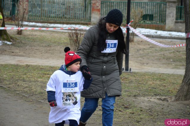 Bieg Tropem Wilczym w Ziębicach 