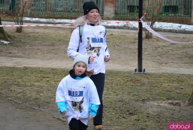 Bieg Tropem Wilczym w Ziębicach 