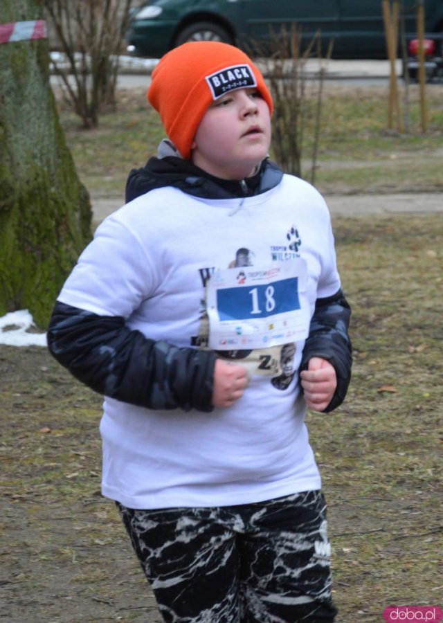 Bieg Tropem Wilczym w Ziębicach 