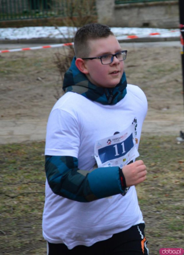 Bieg Tropem Wilczym w Ziębicach 