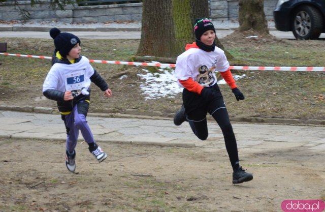 Bieg Tropem Wilczym w Ziębicach 
