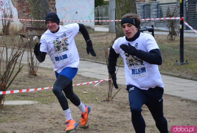 Bieg Tropem Wilczym w Ziębicach 
