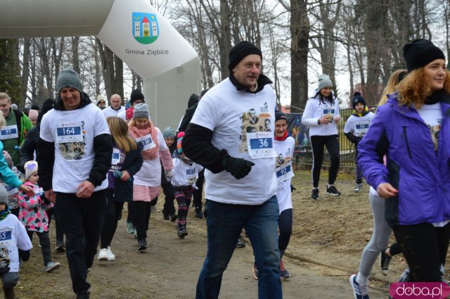Bieg Tropem Wilczym w Ziębicach 