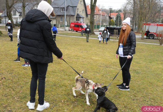 Bieg Tropem Wilczym w Ziębicach 
