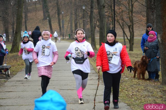 Bieg Tropem Wilczym w Kamieńcu Ząbkowickim