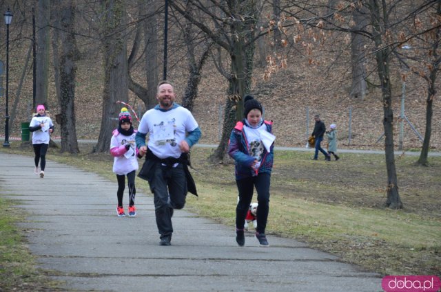 Bieg Tropem Wilczym w Kamieńcu Ząbkowickim