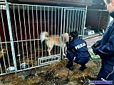 Kobiety w ząbkowickiej policji 