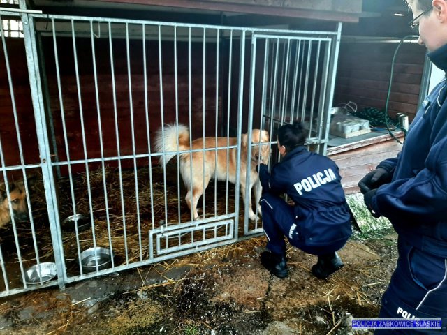 Kobiety w ząbkowickiej policji 