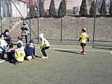 Międzygminny Turniej Piłki Nożnej o Puchar Dyrektora GCEiS w Ziębicach - ŻAKI 2014