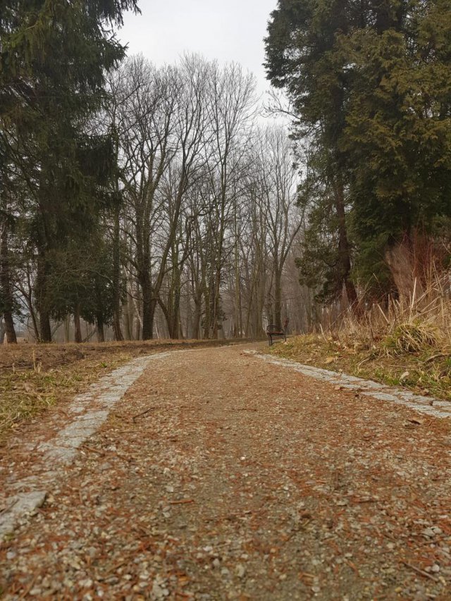 Ścieżki spacerowe w parku w Grodziszczu gotowe