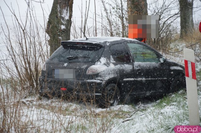 Osobówka wypadła z drogi między Stolcem a Niedźwiednikiem
