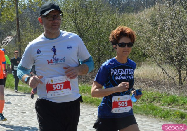 Półmaraton Henrykowski i Dycha Księgi Henrykowskiej 