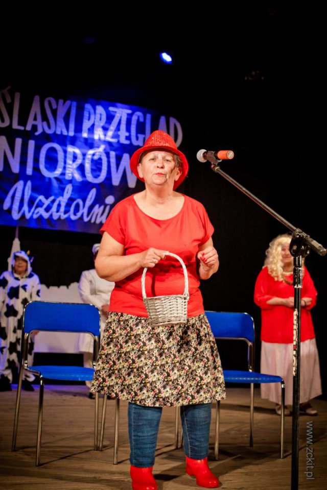 VIII Dolnośląski Przegląd Seniorów Artystycznie Uzdolnionych