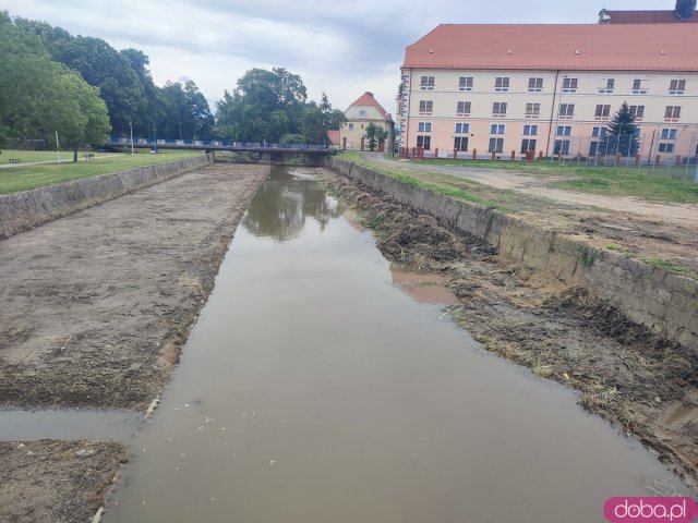 W Kamieńcu czyszczą Budzówkę