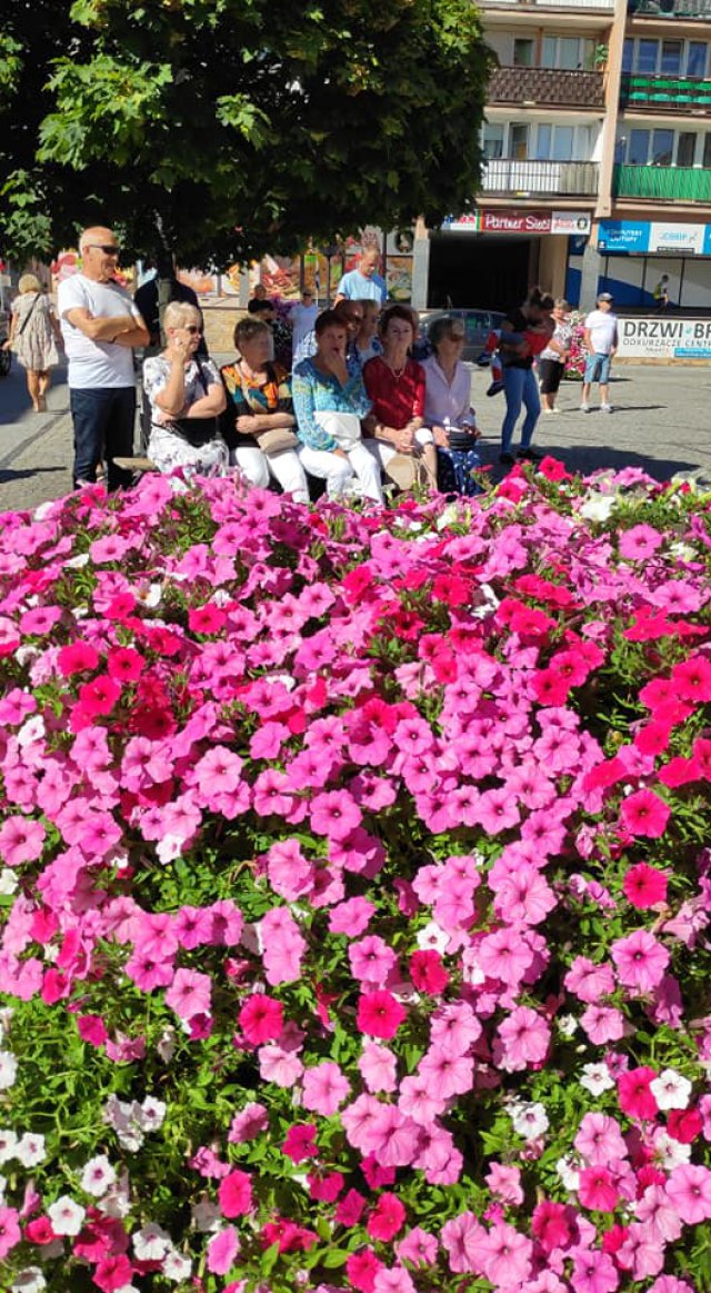 Na ząbkowickim rynku zagrał zespół Kwiat Powoju [Foto]