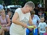 Dożynki w Doboszowicach