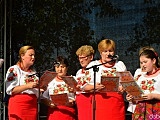 Dożynki w Doboszowicach