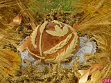 Dożynki w Doboszowicach