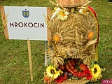 Dożynki w Doboszowicach