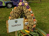 Dożynki w Doboszowicach