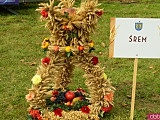 Dożynki w Doboszowicach