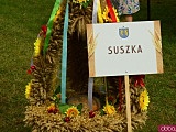 Dożynki w Doboszowicach