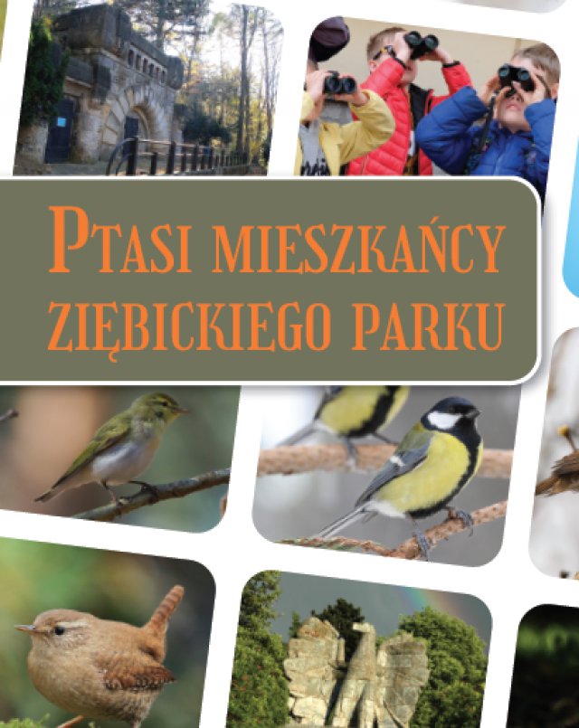 Ptasi mieszkańcy ziębickiego parku - bezpłatna publikacja!