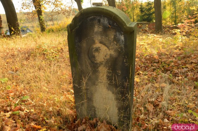 Ślady historii: Cmentarz żydowski w Ziębicach