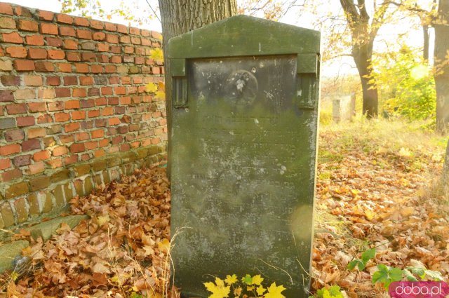 Ślady historii: Cmentarz żydowski w Ziębicach