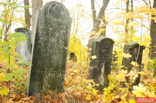 Ślady historii: Cmentarz żydowski w Ziębicach