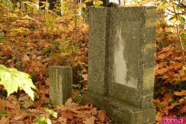 Ślady historii: Cmentarz żydowski w Ziębicach