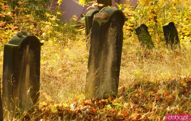 Ślady historii: Cmentarz żydowski w Ziębicach