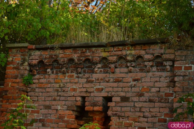 Ślady historii: Cmentarz żydowski w Ziębicach