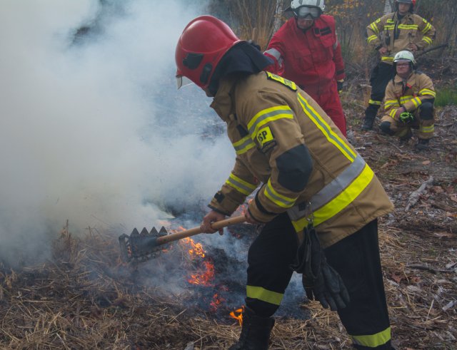 Zaopatrzenie wodne i gaszenie pożarów w lasach