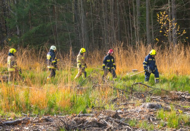Zaopatrzenie wodne i gaszenie pożarów w lasach