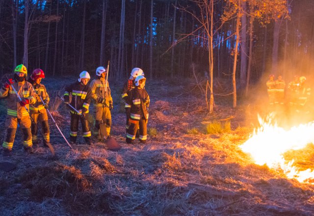 Zaopatrzenie wodne i gaszenie pożarów w lasach