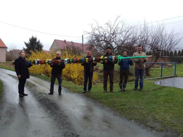 W Grodziszczu znowu pobili rekord! To najwyższa palma w powiecie  