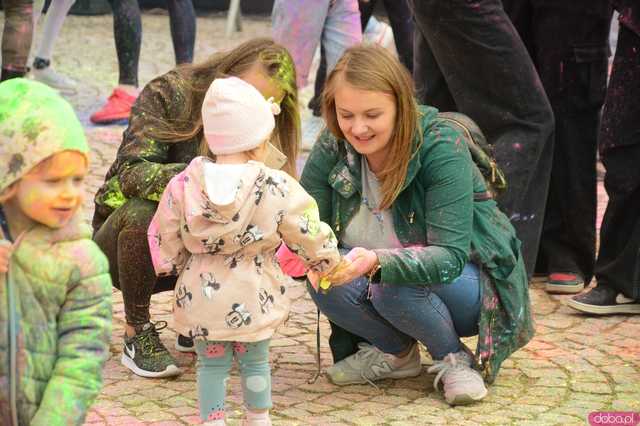 Święta Tulipanów w Kamieńcu Ząbkowickim 