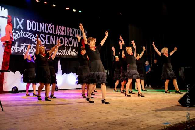 IX Dolnośląski Przegląd Seniorów Artystycznie Uzdolnionych