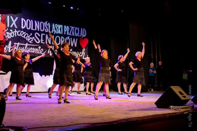 IX Dolnośląski Przegląd Seniorów Artystycznie Uzdolnionych