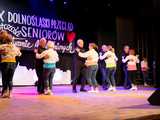 IX Dolnośląski Przegląd Seniorów Artystycznie Uzdolnionych