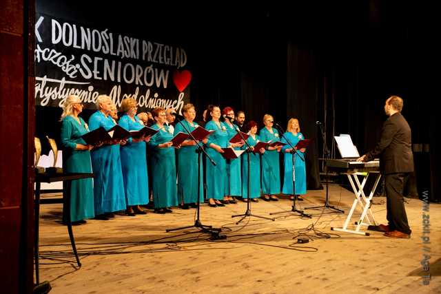 IX Dolnośląski Przegląd Seniorów Artystycznie Uzdolnionych