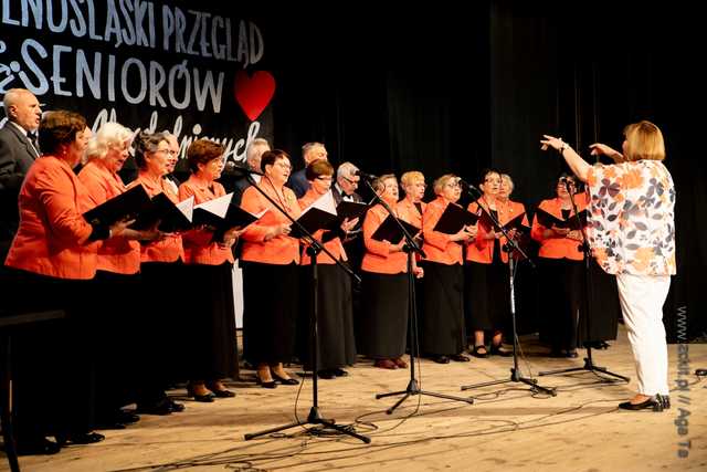 IX Dolnośląski Przegląd Seniorów Artystycznie Uzdolnionych