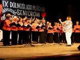IX Dolnośląski Przegląd Seniorów Artystycznie Uzdolnionych