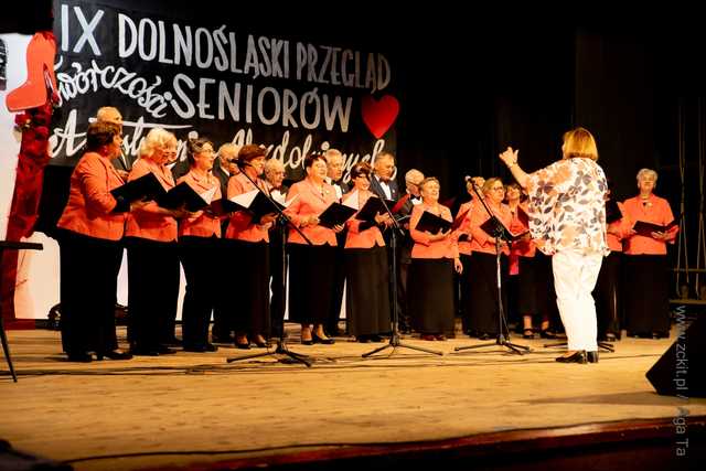 IX Dolnośląski Przegląd Seniorów Artystycznie Uzdolnionych