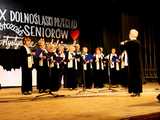 IX Dolnośląski Przegląd Seniorów Artystycznie Uzdolnionych