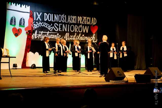 IX Dolnośląski Przegląd Seniorów Artystycznie Uzdolnionych